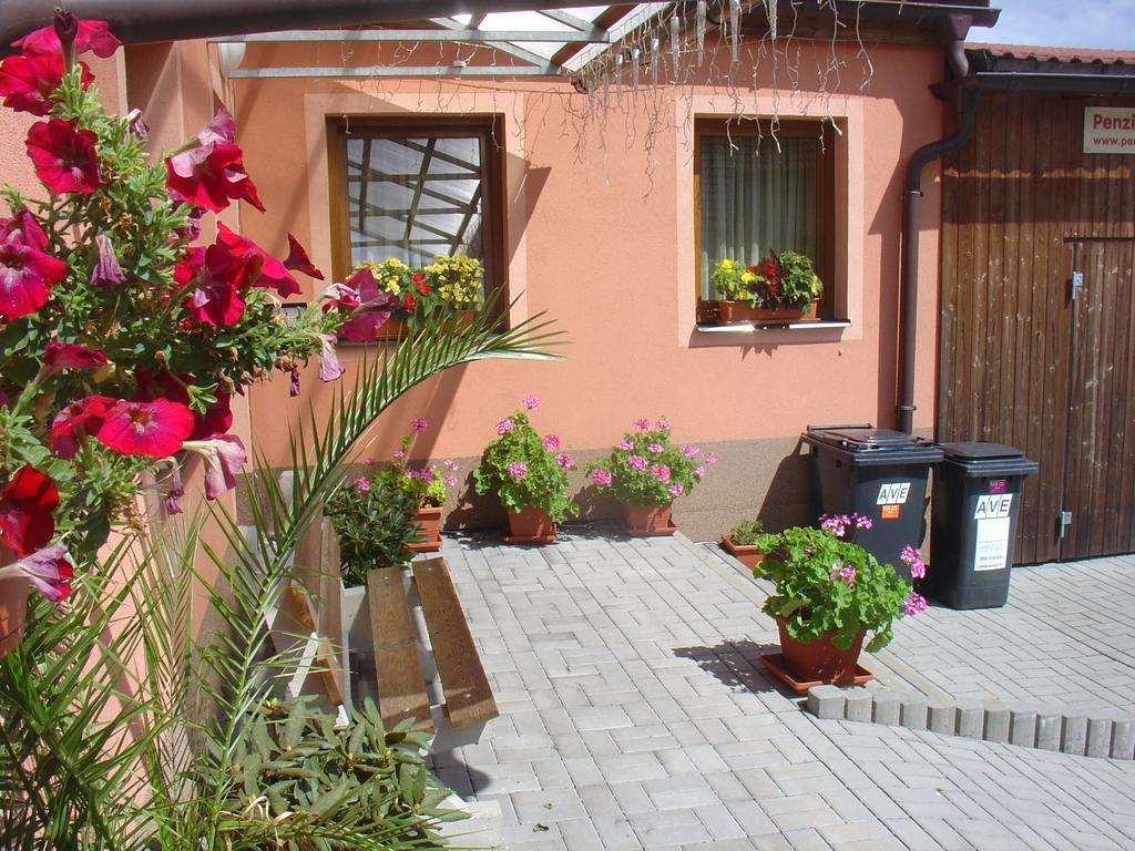 Wellness Penzion Palice Jindřichŭv Hradec Zewnętrze zdjęcie